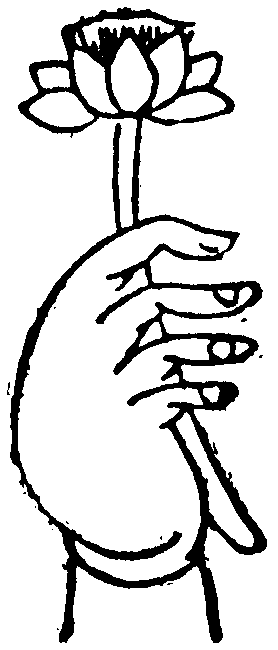 https://m.lengyanks.com/otgopic/kjintpzz/49272.html
