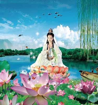 杨洪居士往生纪实