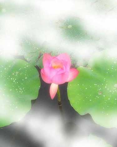 李木源居士往生纪实
