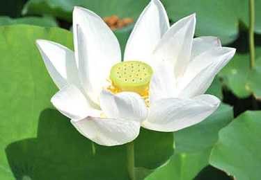 释海超老尼师往生纪实