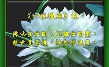 佛法在世间，不离世间觉