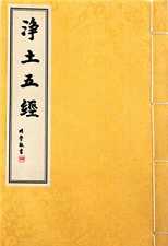 关于净土五经