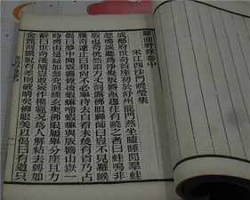 《罗湖野录》摭言