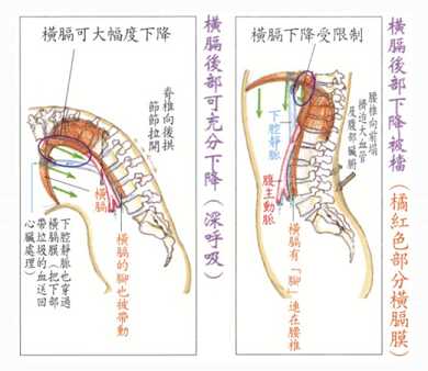拜佛与医学 第七讲