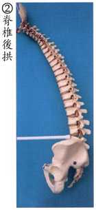 拜佛与医学 第七讲